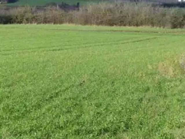 Terrain vente à Châtellerault, Leigné-les-bois