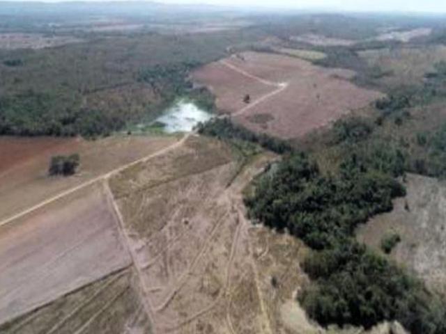 Sítio e chácara venda em Região Geográfica Imediata de Cuiabá, Nova Brasilândia