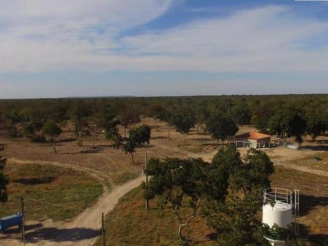 Sítio e chácara venda em Santo Antônio de Leverger, Região Geográfica Intermediária de Cuiabá