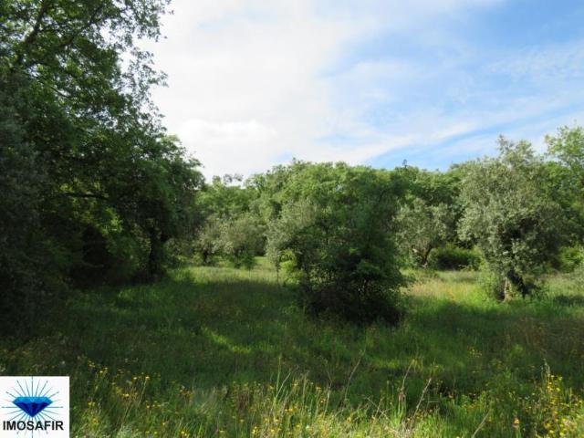 Terreno venda em Alvaiázere, Leiria