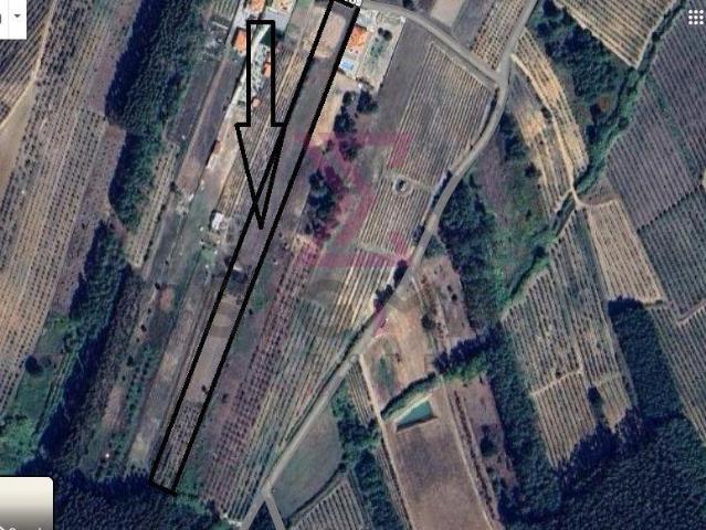 Terreno venda em Gamelas, Bombarral