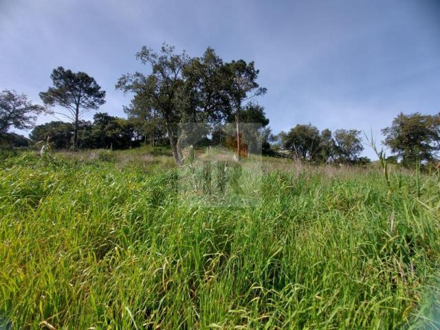 Terreno venda em Formigal, Caldas Da Rainha