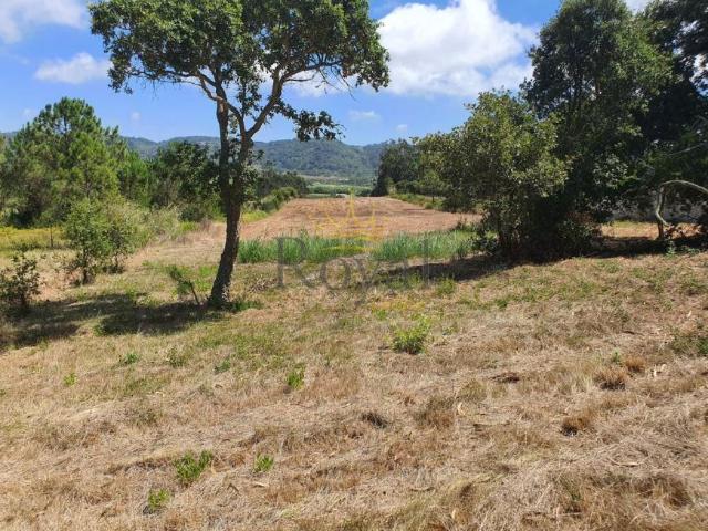 Terreno venda em Casais dos Morgados, Caldas Da Rainha