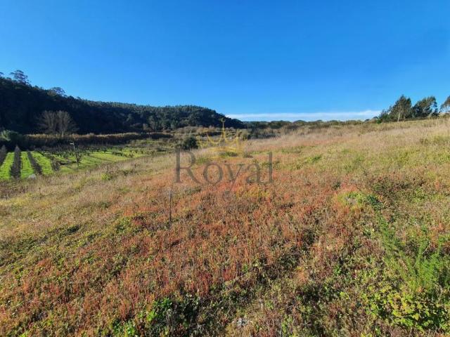 Terreno venda em Caldas Da Rainha, Leiria