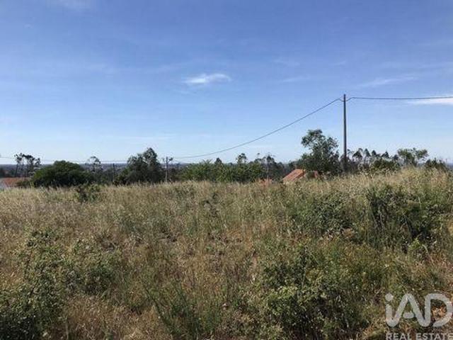 Terreno venda em Leiria