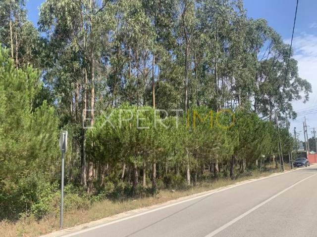 Terreno venda em Marrazes e Barosa, Leiria