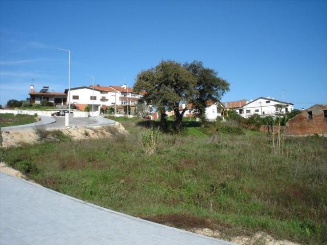 Terreno venda em Leiria