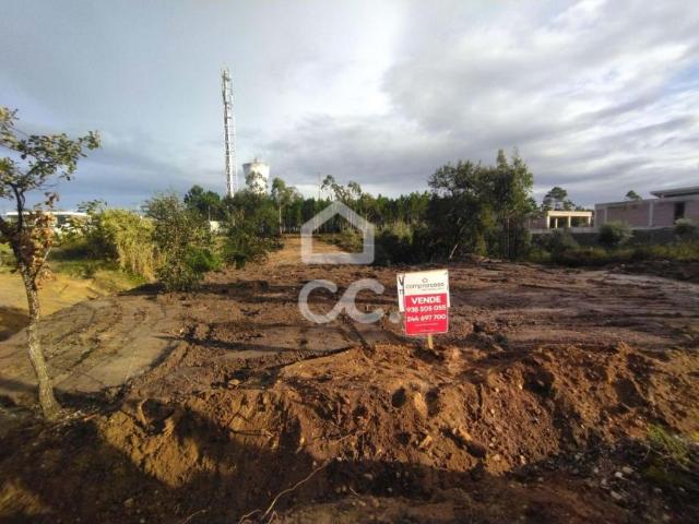 Terreno venda em Leiria