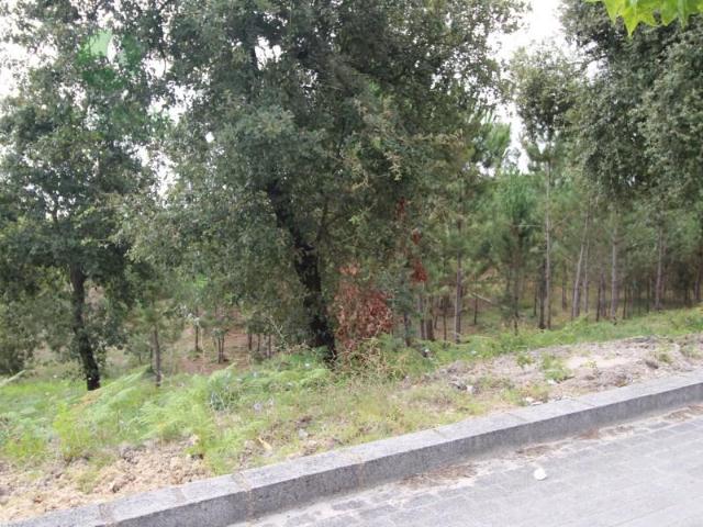 Terreno venda em Leiria