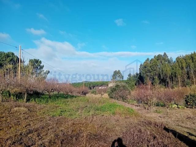 Terreno venda em Leiria