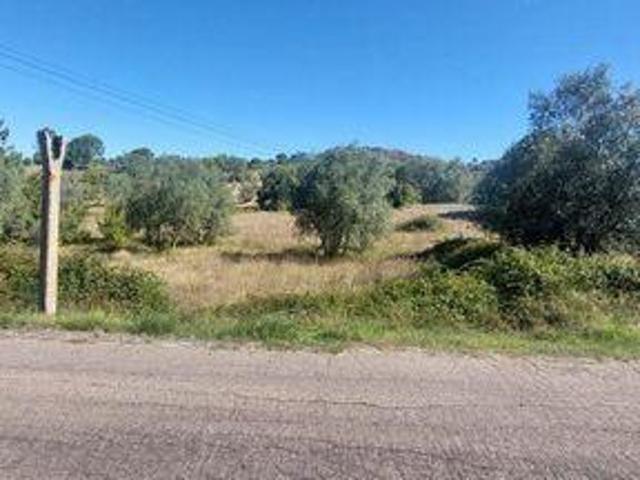 Terreno venda em Leiria