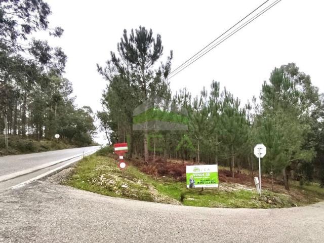 Terreno venda em Leiria