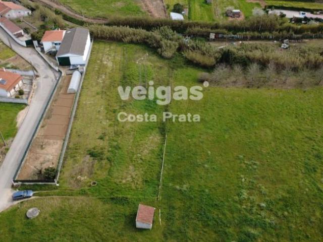 Terreno venda em Olho Marinho, Óbidos