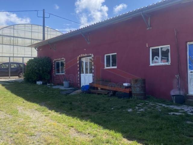 Terreno venda em Leiria