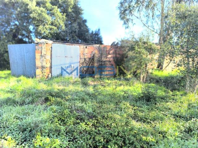 Terreno venda em Sancheira Pequena, Óbidos