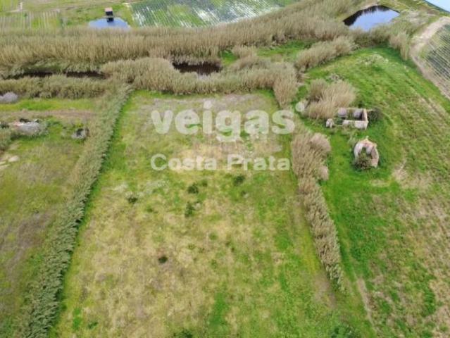 Terreno venda em Peniche, Leiria