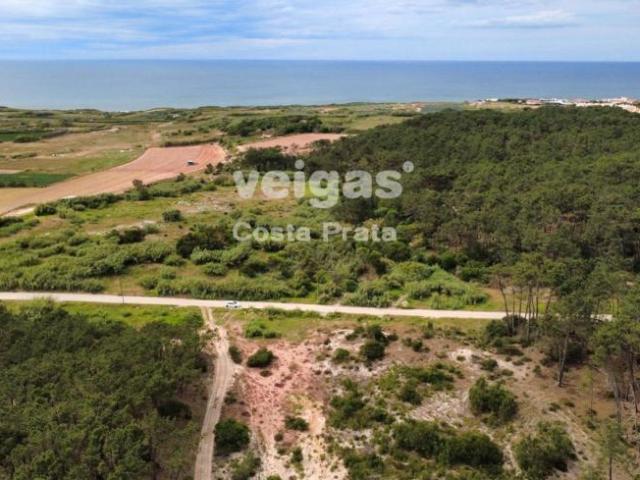 Terreno venda em Peniche, Leiria