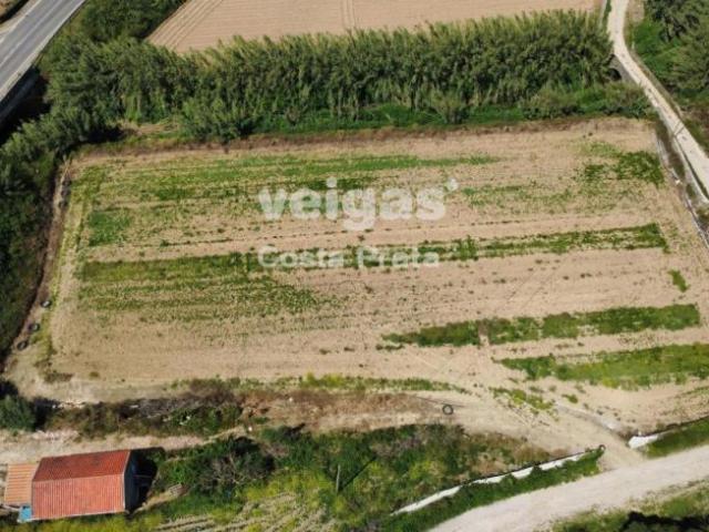 Terreno venda em Peniche, Leiria