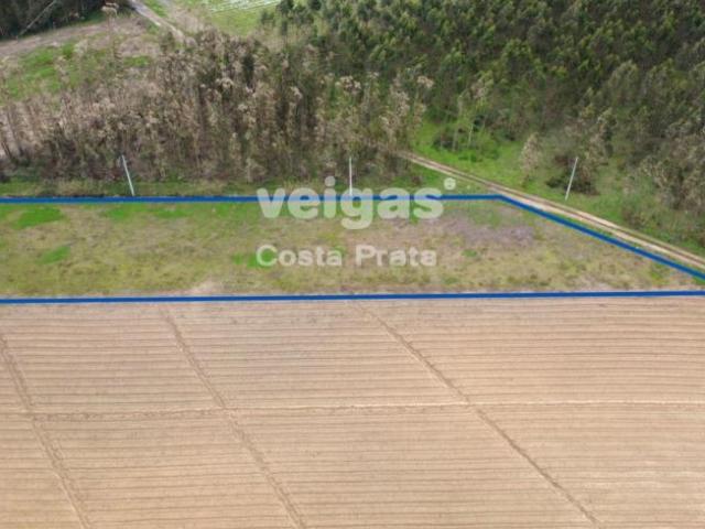 Terreno venda em Bufarda, Peniche