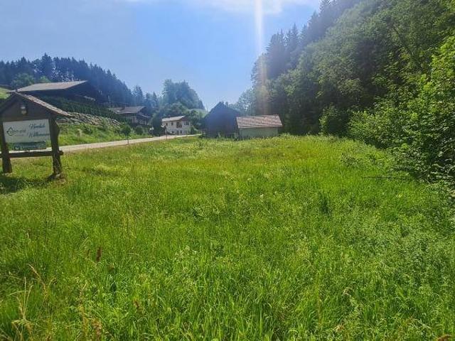 Immobilie kaufen in Vorderstoder, Oberösterreich