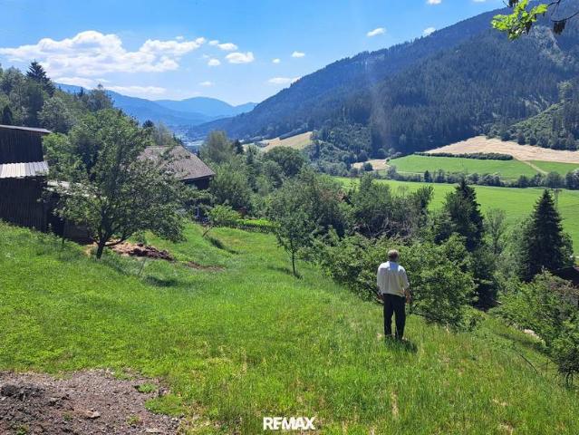 Grundstück kaufen in Steiermark