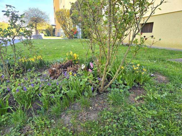 Apartment kaufen in Wetzelsdorf, Gersdorf-Feistritz
