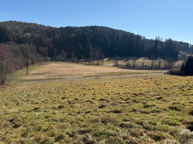 Einfamilienhaus kaufen in Edelsgrub, Steiermark
