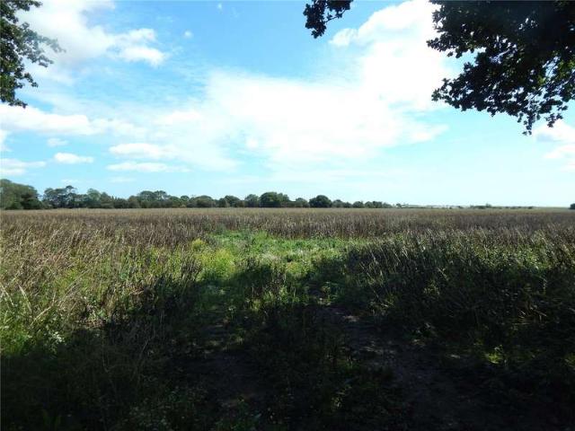 Property for sale in Upper Dovercourt, Dale Hill