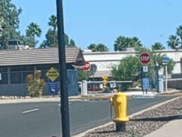 Condo for sale in Leisure World Arizona, Mesa