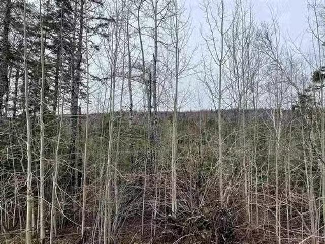 House for sale in Leitches Creek, Nova Scotia