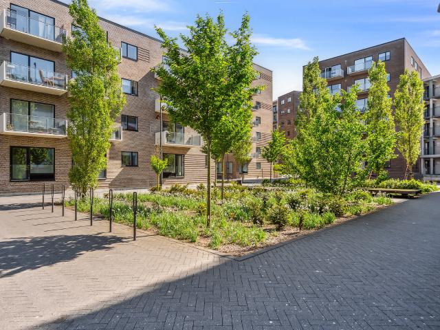 Lejlighed til leje i Aalborg, Brønderslev-Dronninglund
