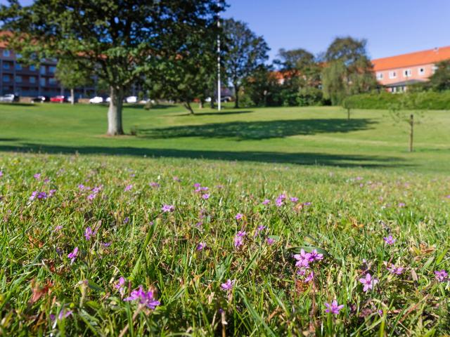 Lejlighed til leje i Struer, Århus