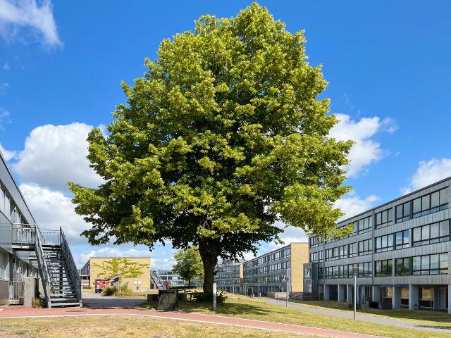 Lejlighed til leje i Vejle