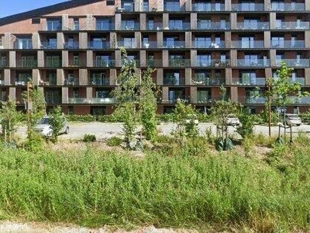 Lejlighed til leje i Solrød Strand, Solrød