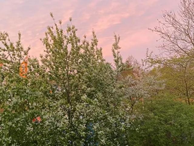 Lejlighed til leje i Roskilde