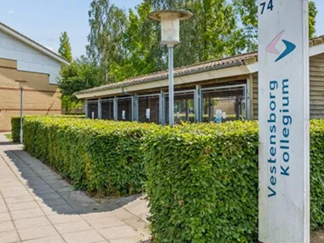 Lejlighed til leje i Nykøbing Falster, Guldborgsund