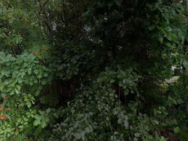Lejlighed til leje i Vejle