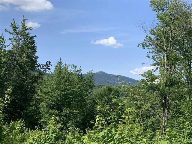 Land for sale in Vermont