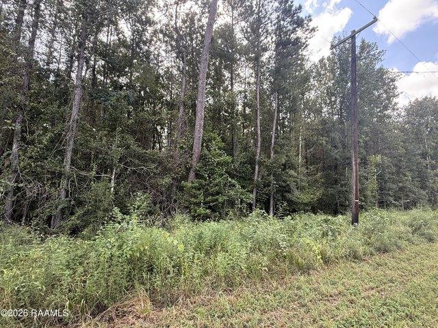 Land for sale in Evangeline, Louisiana