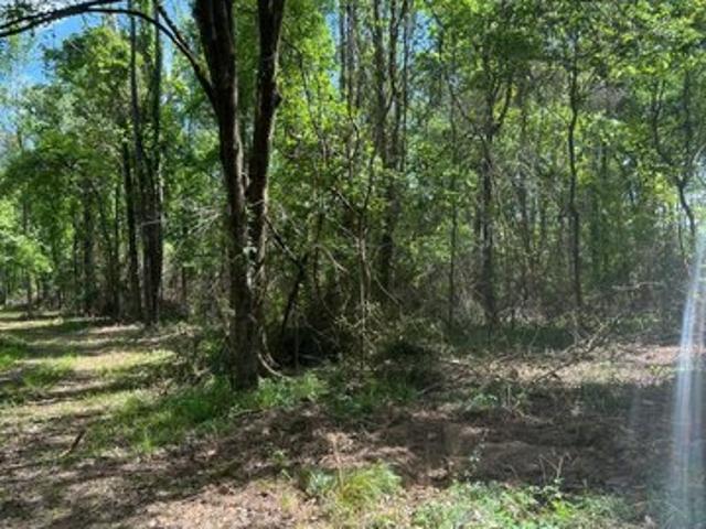 Land for sale in Slaughter, East Feliciana Parish