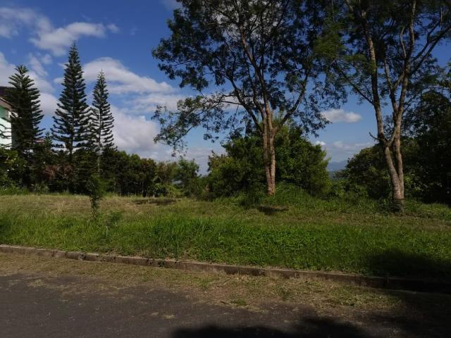 Lemongrass Street Plantations Hills Lot For Sale With View Lemongrass Street Plantations Hills Lot For Sale With View