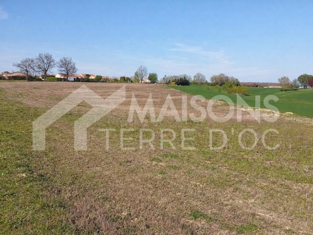 Maison vente à Castres, Lempaut