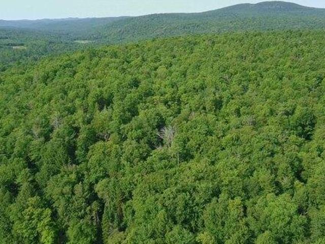Land for sale in New Hampshire