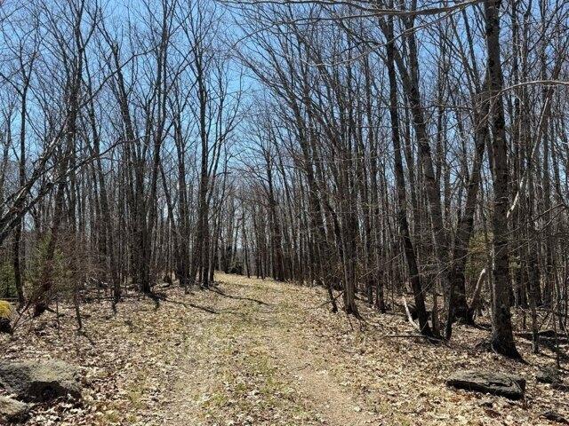 Land for sale in New Hampshire