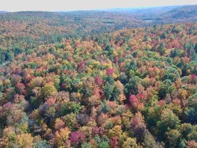 Land for sale in Lempster, Sullivan County
