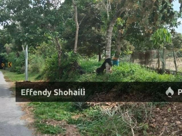 Property for sale in Bandar Tasik Senangin, Seremban