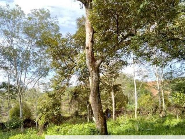 Shop for sale in Perak