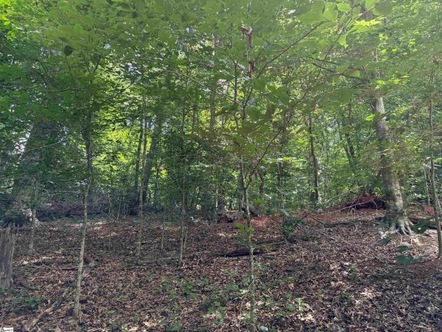 Land for sale in Easley, Pickens County