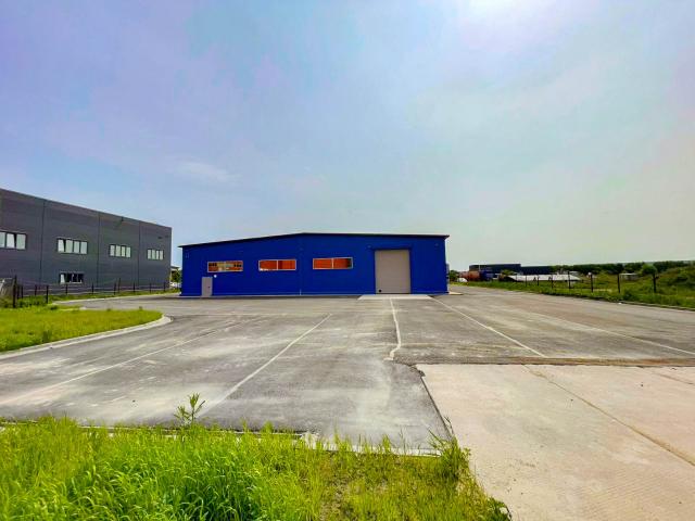 Квартира аренда в Новосаратовка Массив, Ленинградская область