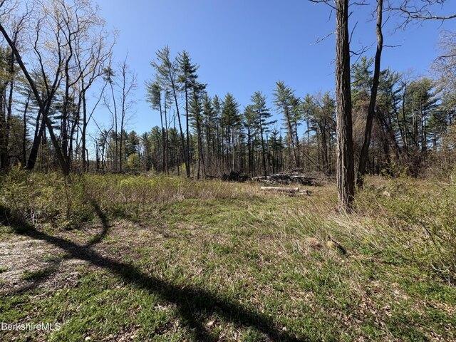 Land for sale in Berkshire, Massachusetts